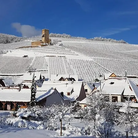 Sur La Route Des Vins- Tres Proche Colmar *
