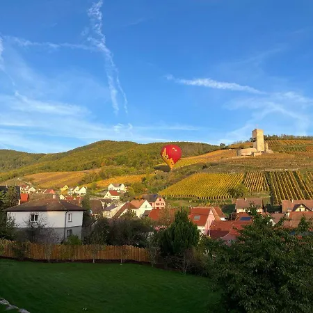 Sur La Route Des Vins- Tres Proche Colmar *