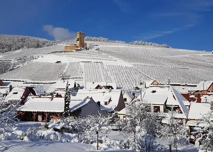 Sur La Route Des Vins- Tres Proche Colmar *