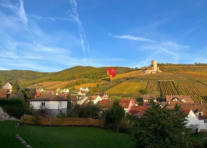 Sur La Route Des Vins- Tres Proche Colmar *